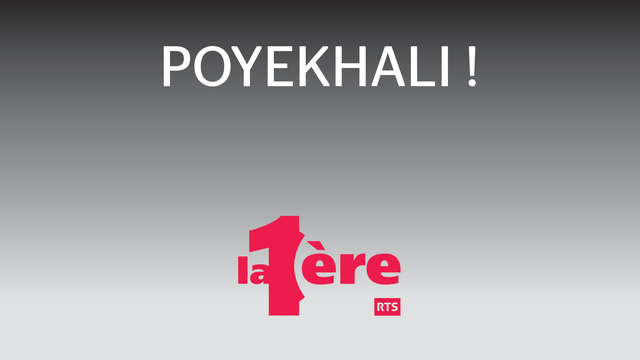 Logo Poyekhali !