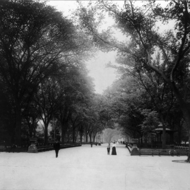 Central Park New York City en 1905 - Musique en Mémoire Les ultra modernistes américains, cinq portraits de pionniers  1-5 déc 2014 [wikipedia]