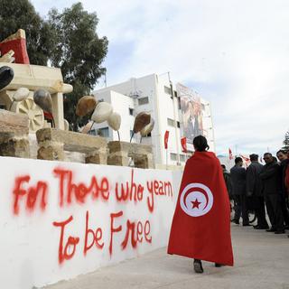 Un jeune Tunisien portant le drapeau de son pays lors du 1er anniversaire de la révolution. [FETHI BELAID]