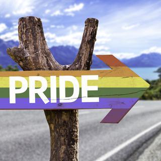 La pride prône la liberté et l'égalité pour toutes les orientations sexuelles. [gustavofrazao]