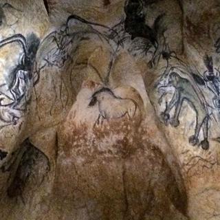 Dessins dans la reconstitution de la grotte Chauvet. [Catherine Erard]