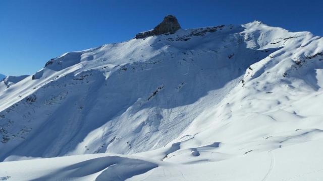 Avalanche dans les Alpes le 7 janvier 2015. [Meteorisk]