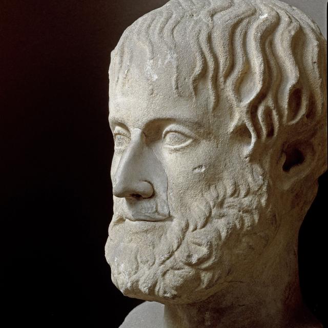 Portrait d'Aristote (384-322 avant JC)". Réplique romaine d'après un original grec de Lysippe. Palerme, Museo Archeologico Nazionale. [Leemage / AFP - Luisa Ricciarini]