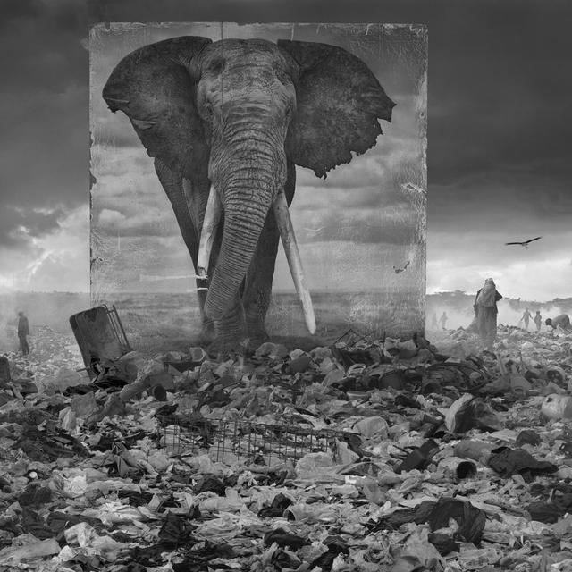 Une photographie du projet "Inherit the Dust" par Nick Brandt. [Nick Brandt.]