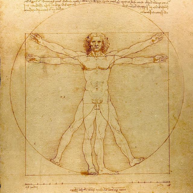 "L'homme de Vitruve" de Léonard de Vinci. [Wikipédia]