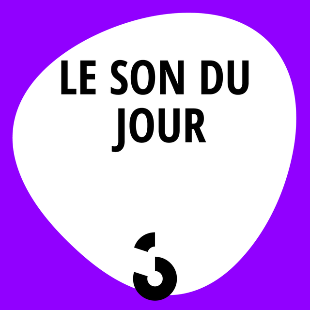Logo Le son du jour