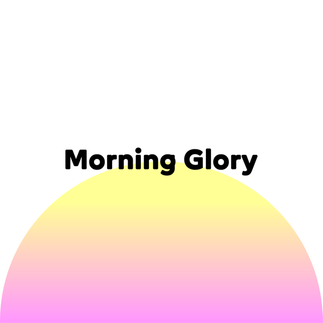 Logo Morning Glory