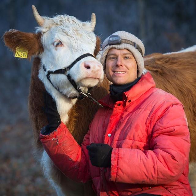 Gaëtan et son boeuf de race Interwald, Léo. [DR]