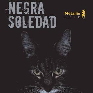 La cover du livre "Negra Soledad" de Ramon Diaz-Eterovic. [Métailié]
