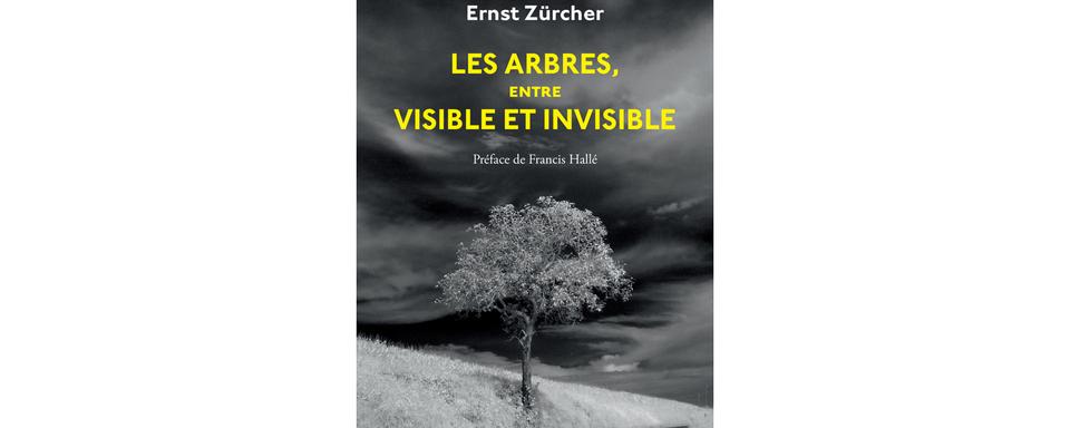 La pochette du livre "Les arbres entre visible et invisible" d'Ernst Zürcher. [Actes Sud]