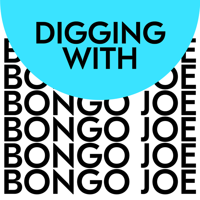 Logo Digging with Bongo Joe