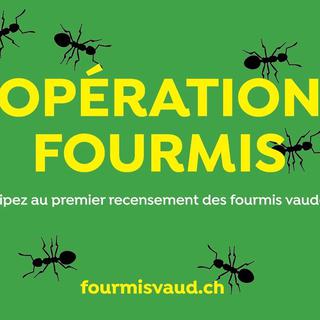 Affiche de l'événement "Opération Fourmis", organisé par la Société Vaudoise des Sciences Naturelles. [Société Vaudoise des Sciences Naturelles]
