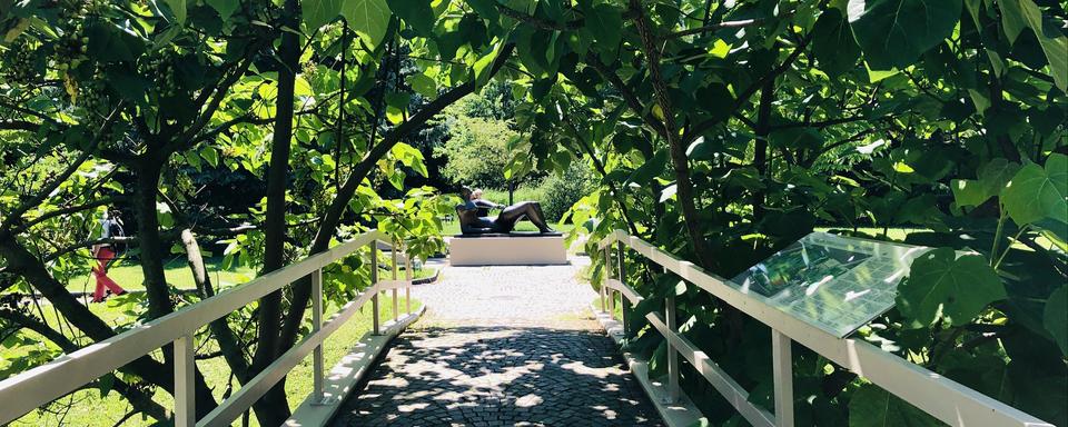 Le parc de la Fondation Pierre Gianadda à Martigny. [RTS - Karine Vasarino]