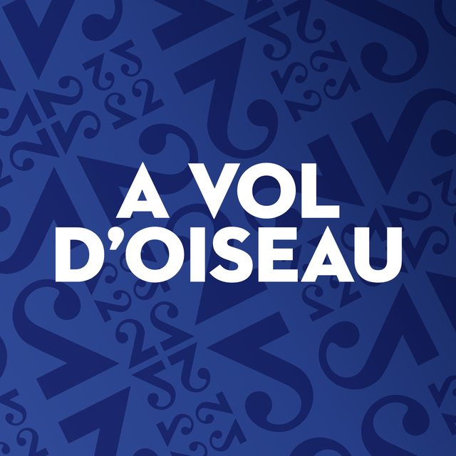 Logo A vol d'oiseau