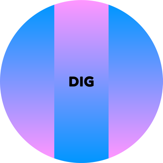 Logo DIG