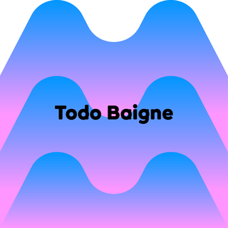 Logo Todo Baigne