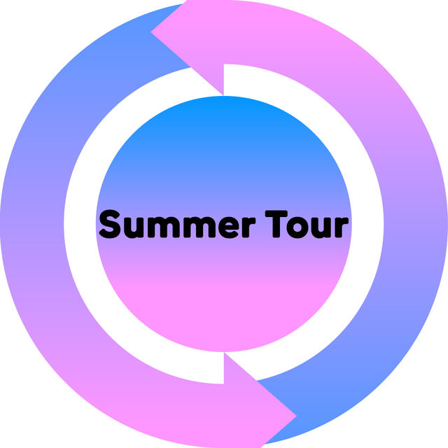 Logo Summer Tour [RTS]