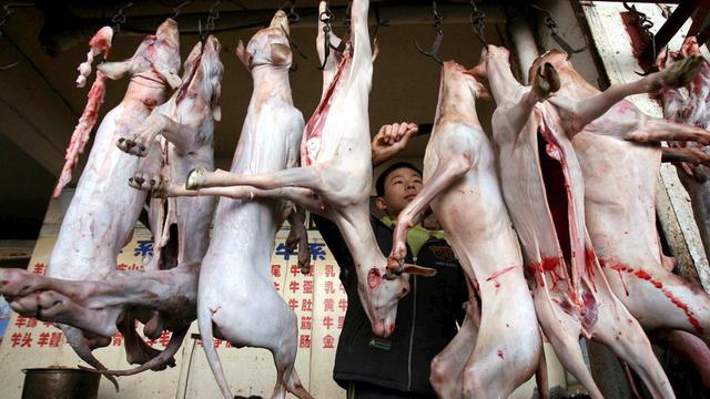 La viande de chien côtoie celles d'autres animaux sur les marchés chinois.
Epa Stringer
Keystone [Epa Stringer]