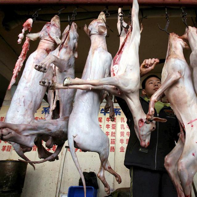 La viande de chien côtoie celles d'autres animaux sur les marchés chinois.
Epa Stringer
Keystone [Epa Stringer]