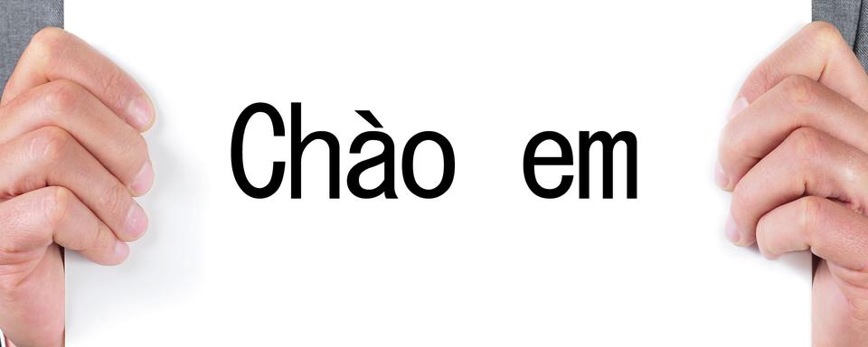 En langue vietnamienne, lorsque l'on s'adresse à une personne plus jeune que soi, "bonjour" se dit "chào em". [nito]