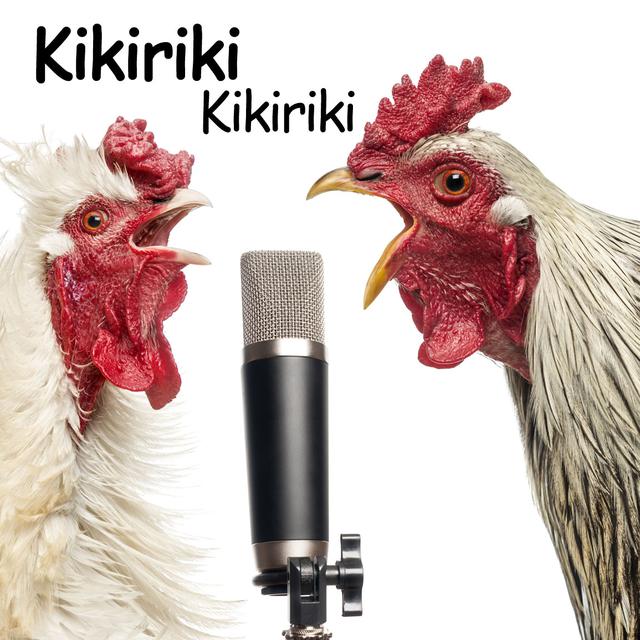 En Albanie le coq chante "Kikiriki". [Eric Isselée]