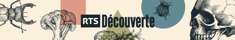 RTS Découverte [RTS - RTS Découverte]