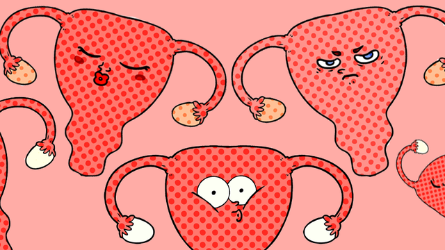 Le dossier sur le cycle menstruel sur RTS Découverte [Fotolia - Lineartestpilot]