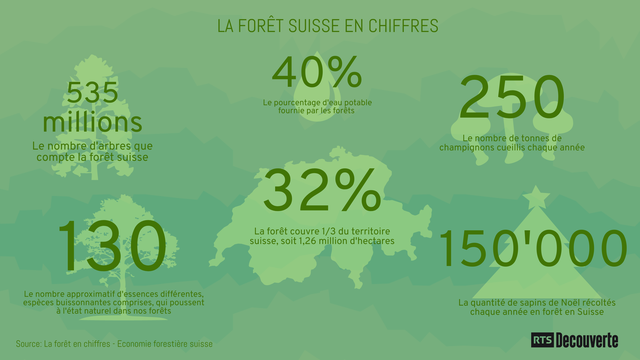 La forêt suisse en quelques chiffres