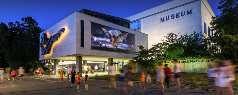 Muséum d'histoire naturelle de Genève