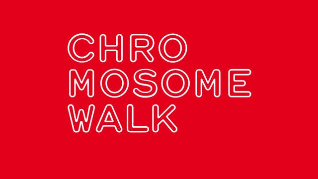Chromosome Walk [Swiss Institute of Bioinformatics - chromosomewalk.ch]