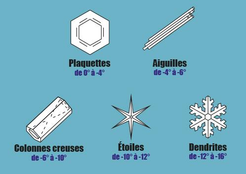 Différents cristaux de neige selon la température du nuage.
