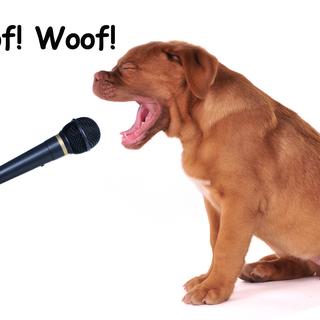 En Angleterre le chien aboie "Woof! Woof!". [Zharastudio]