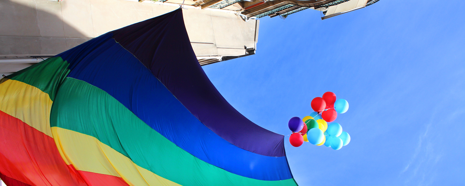 Drapeau arc-en-ciel. [Fotolia - Brad Pict]