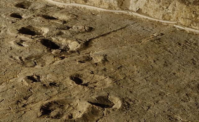 Des traces de dinosaures découvertes dans le Jura suisse. [Jurassica]