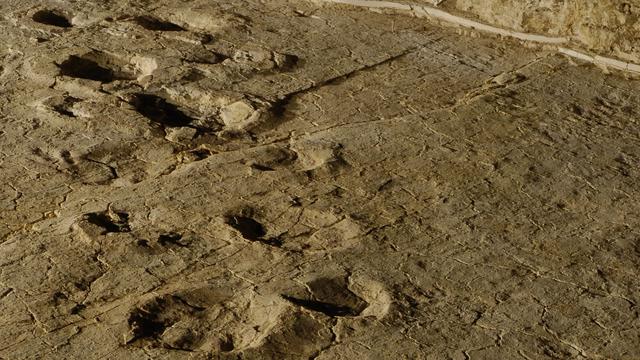 Des traces de dinosaures découvertes dans le Jura suisse. [Jurassica]