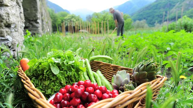 Consommer bio, c'est respecter le rythme des organismes vivants et préserver la qualité naturelle de ce qui est produit. [Fotolia - Rémy MASSEGLIA]