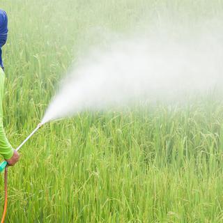 Les pesticides sur le site de l'Organisation Mondiale de la Santé (OMS) [depositphotos - comzeal]