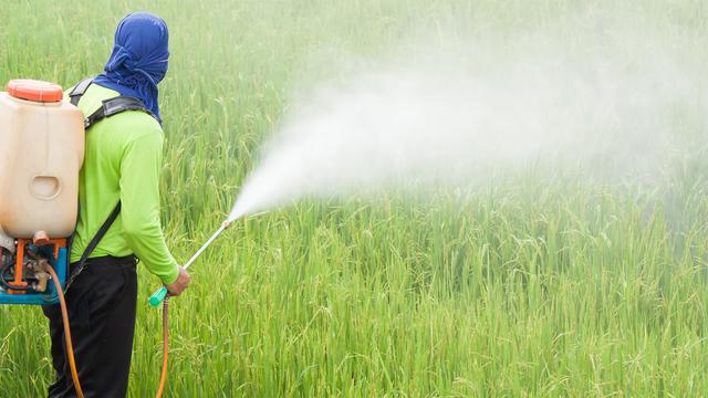Les pesticides sur le site de l'Organisation Mondiale de la Santé (OMS) [depositphotos - comzeal]