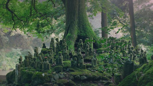 Le Japon vu du ciel