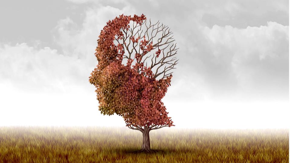 Vignette 36.9° du 1 mai 2019 "Repenser Alzheimer and Co" [RTS]