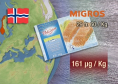 Migros - Norvège (2)