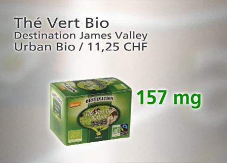 Thé Vert Bio - EGCG [TSR]