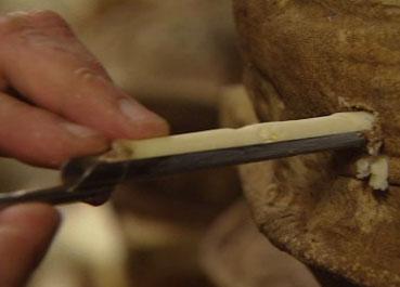 Un fromage à base de lait cru est un remède efficace pour restaurer la flore intestinale.