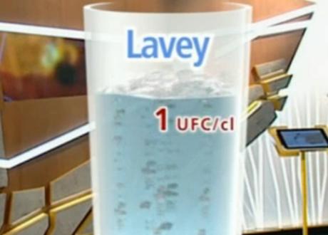 Lavey