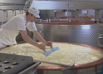 L'affinage d'un vacherin au lait cru dure au moins 21 jours