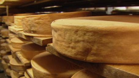 Les fromages à base de lait cru possèdent des bienfaits souvent méconnus.