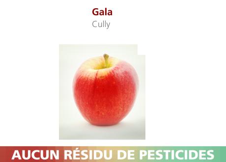 Pommes Gala de Cully. [RTS]