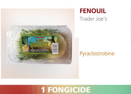 Fenouil. [RTS]