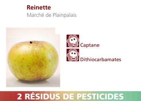 Pommes Reinette du Marché de Plainpalais. [RTS]