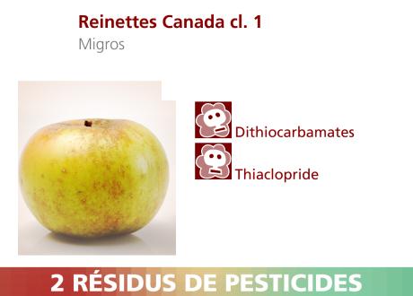 Pommes Reinettes Canada cl.1. [RTS]